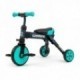 Tricycle 2 en 1 Milly Mally Grande Mint